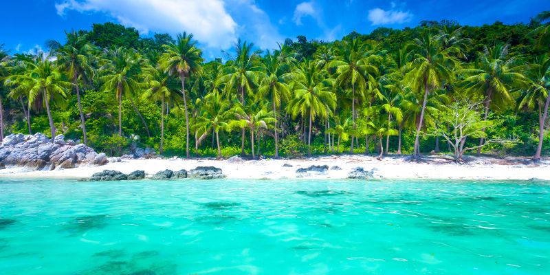 Koh Samui, un sogno tropicale