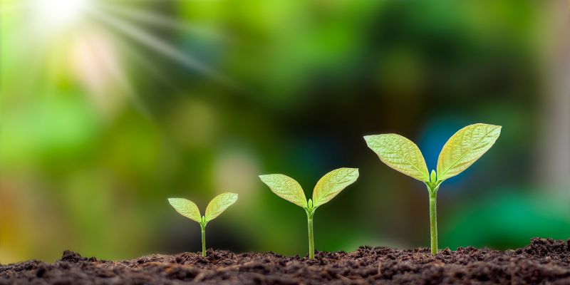 Eu Eco-Tandem, termina il progetto co-finanziato dall'UE