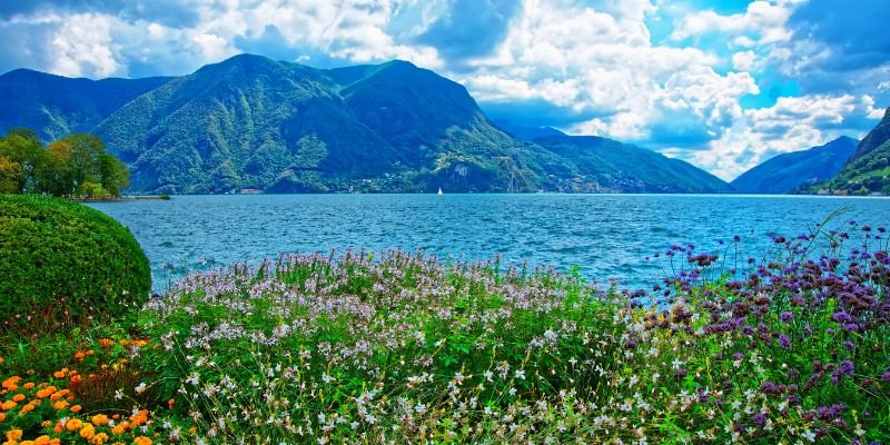 Il Parco del Ticino spegne 50 candeline con gite ed eventi