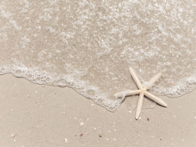 Western Australia, le migliori spiagge di questo angolo di paradiso